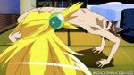 Akikan-01_2.jpg